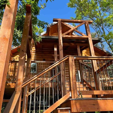 Cricket Hill Treehouse By Amish Country Lodging ميلزبورغ المظهر الخارجي الصورة