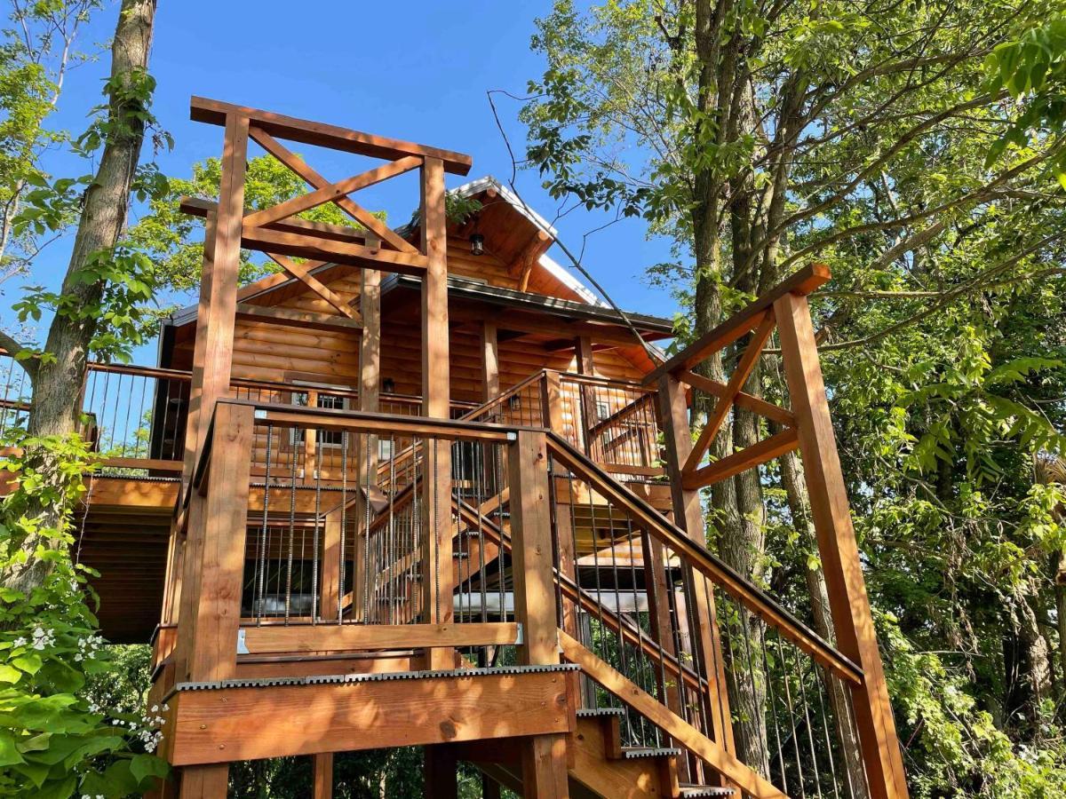Cricket Hill Treehouse By Amish Country Lodging ميلزبورغ المظهر الخارجي الصورة